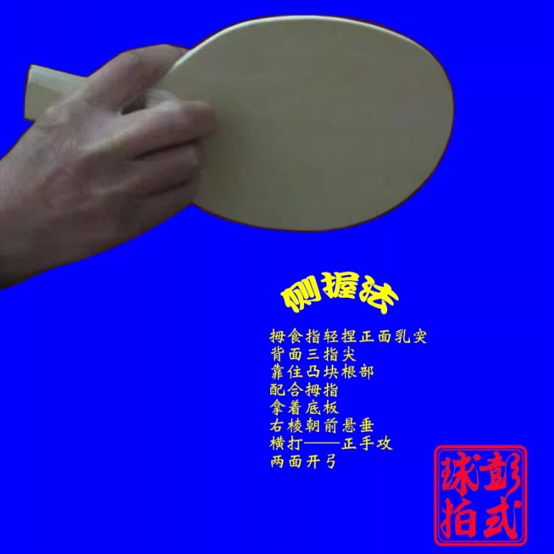 中国/和風卓球ラケットプロレベルの不規則な形状のピンポンパド - Table Tennis Xiom のレビューと価格