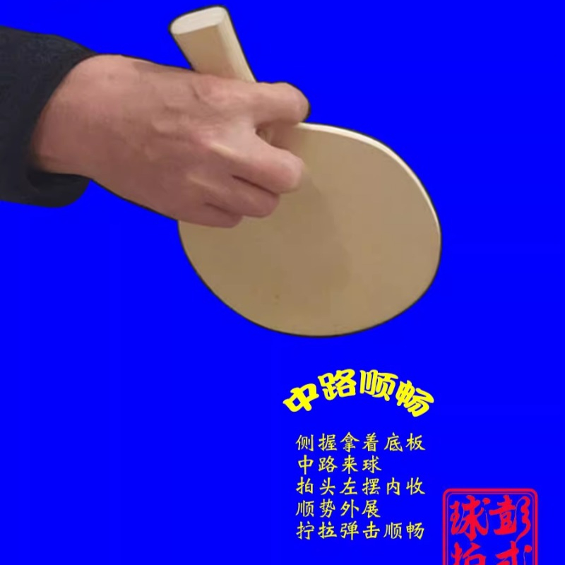 中国/和風卓球ラケットプロレベルの不規則な形状のピンポンパド - Table Tennis Xiom のレビューと価格